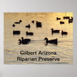 Skimrande damm - Gilbert Arizona Affisch