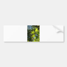 skina grönt blad bildekal