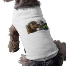 Skjorta för husdjur för engelskacockerspanielSpani Kläder För Husdjur