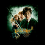 Skjuten Harry Potter Ron Hermione Dobbygrupp affischer