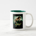 Skjuten Harry Potter Ron Hermione Dobbygrupp muggar