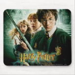 Skjuten Harry Potter Ron Hermione Dobbygrupp Mus Matta