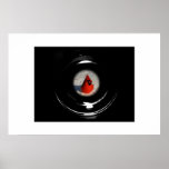 Skjuten ihop Male kardinal Print
