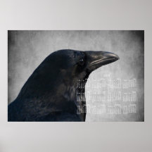 Skjuten korpsvart glamour; Kalender 2013 Print
