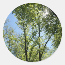 Skog 1 runda klistermärken