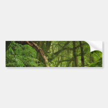 Skog Bildekaler