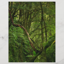 Skog Flygblad Designs