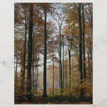 Skog från skogen flygblad designs