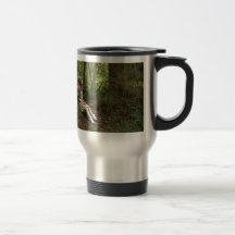 Skog Kaffe Kopp