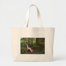 Skog Kassar