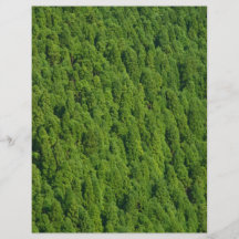 Skog Personliga Flygblad