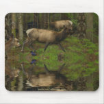 SKOGDJURLIV - älg, hjort & korpsvart Musmattor