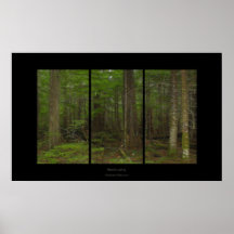 SKOGPLATSTriptych Affischer