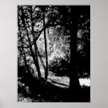SKOGSMARKBANAN 7 POSTERS