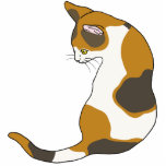 sköldpadds- katt photo cutouts