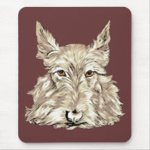 Skotsk Terrier i Wheaten Mus Mattor