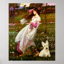 Skotsk Terrier (W5) - Windflowers Print