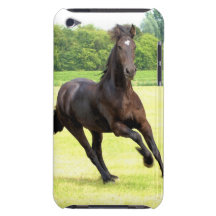 skräddarsy ipod touch case -