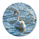 Skräddarsy Swan -