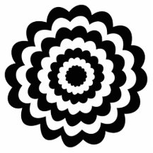 Skraj blomma i svart och White. Photo Cutout