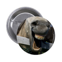 Skratta hästen knappar