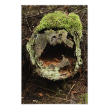 skratta-stubbe foto