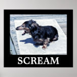 Skri Posters