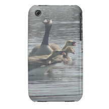 Skrika matchen iPhone 3 cover