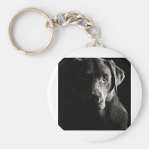 Slå Lownyckel Labrador Nyckelring