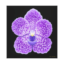 Slågen in kanfas för blåttVanda Orchid blomma Canvasduk Med Gallerikvalitet