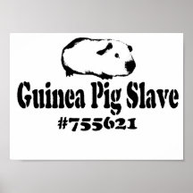 Slav- försökskanin print