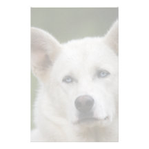 sledhund anpassade brevpapper