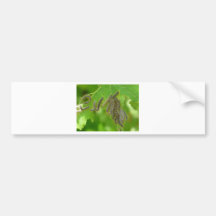 slingra sig caterpillars bildekaler