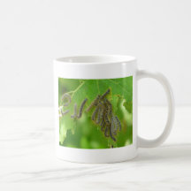 slingra sig caterpillars kaffe muggar