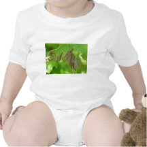 slingra sig caterpillars t shirts