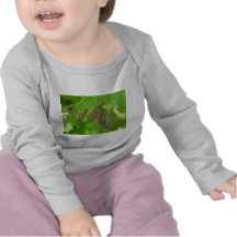 slingra sig caterpillars tee
