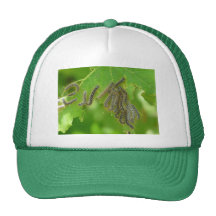 slingra sig caterpillars trucker kepsar
