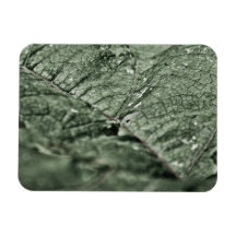 Slitet grönt löv 3" x4 ", rektangulär magnet