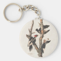 Slocknade fåglar: Audubon Elfenben-Fakturerade hac Nyckel Ring