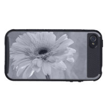 Slösa det tonade fodral för iPhone 4 för daisySkin iPhone 4 Fodraler