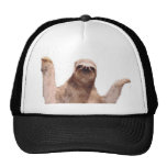 sloth baseball hat