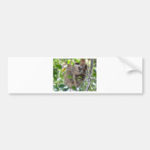 sloth bildekaler
