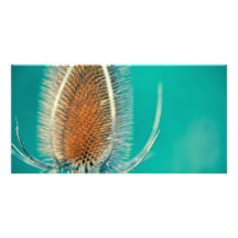 Smaragd Bokeh Skräddarsydda Fotokort