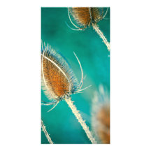 Smaragd Bokeh Skräddarsydda Fotokort