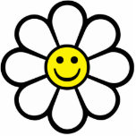 Smileydaisy Acrylic Cut Outs