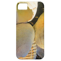 Snäckskal på stranden iPhone 5 Case-Mate skal