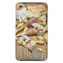 Snäckskalipod touch case