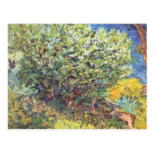 Snedsteg bort vid Vincent Van Gogh Vykort