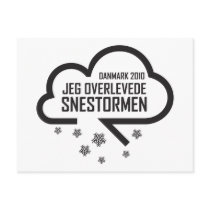 Snestormen 2010 vykort