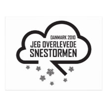 Snestormen 2010 vykort
